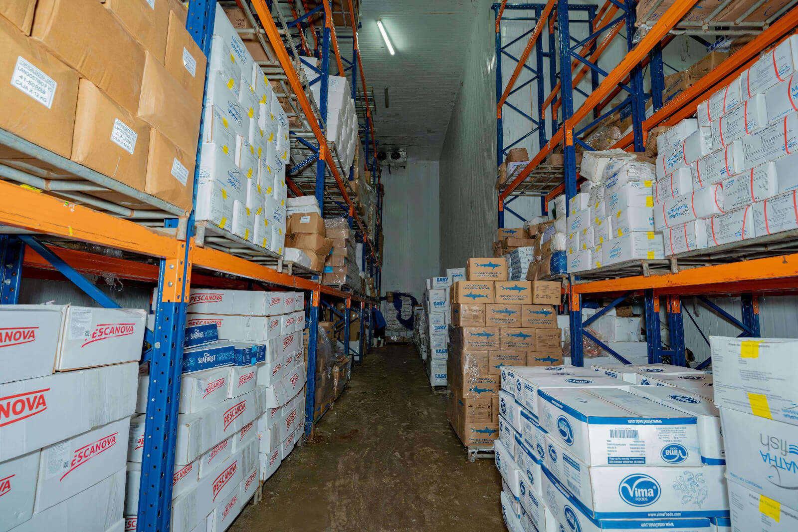 Almacen Productos Pesqueros Congelados